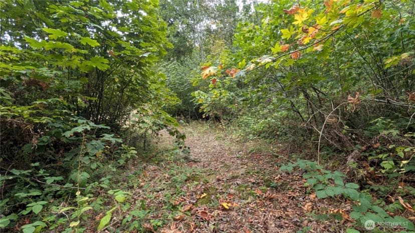Property photo for 7964 My Way, Sedro Woolley photo 22