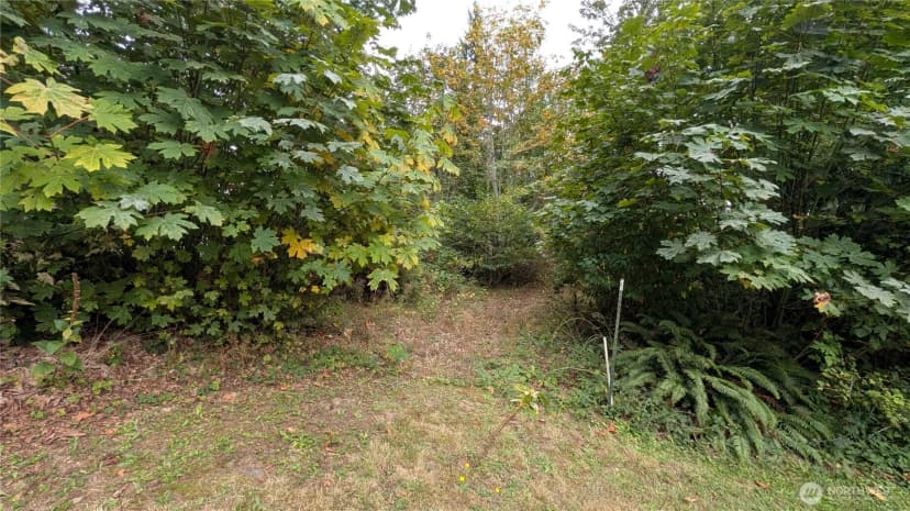 Property photo for 7964 My Way, Sedro Woolley photo 20