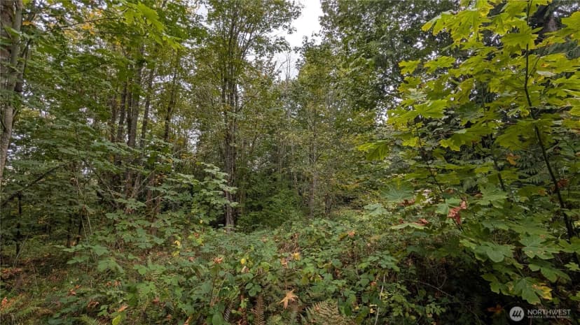 Property photo for 7964 My Way, Sedro Woolley photo 21