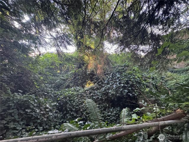 Property photo for 10016 Sw Bunker Trail, Vashon photo 5