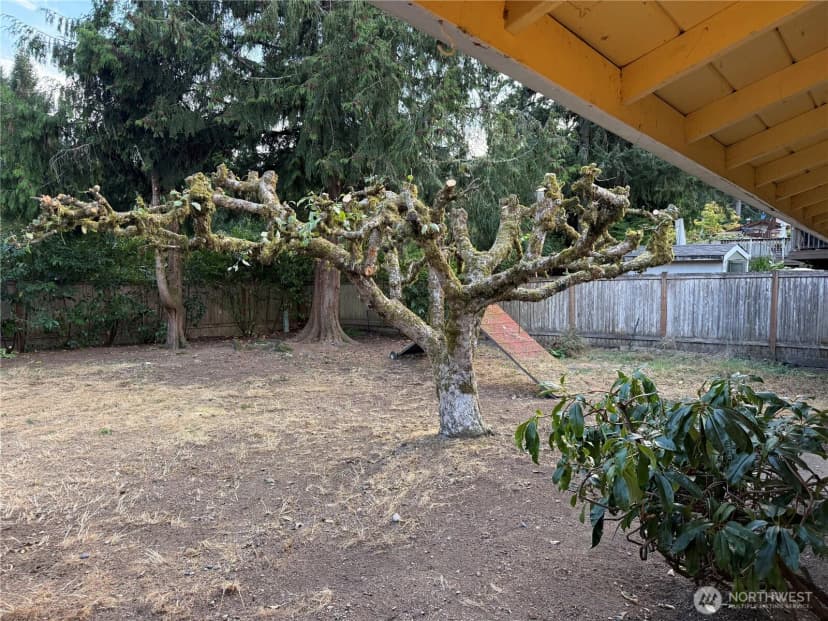 Property photo for 17421 Ne 11th Street, Bellevue photo 35