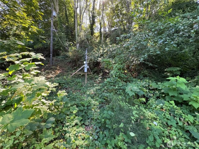 Property photo for 11002 Vashon Highway Sw, Vashon photo 2