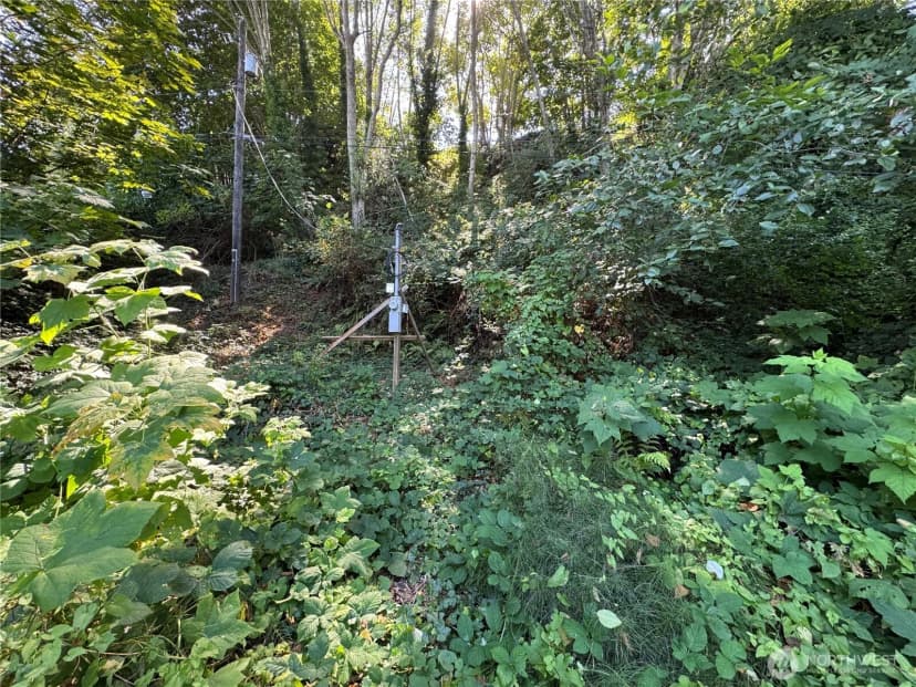 Property photo for 11002 Vashon Highway Sw, Vashon photo 2