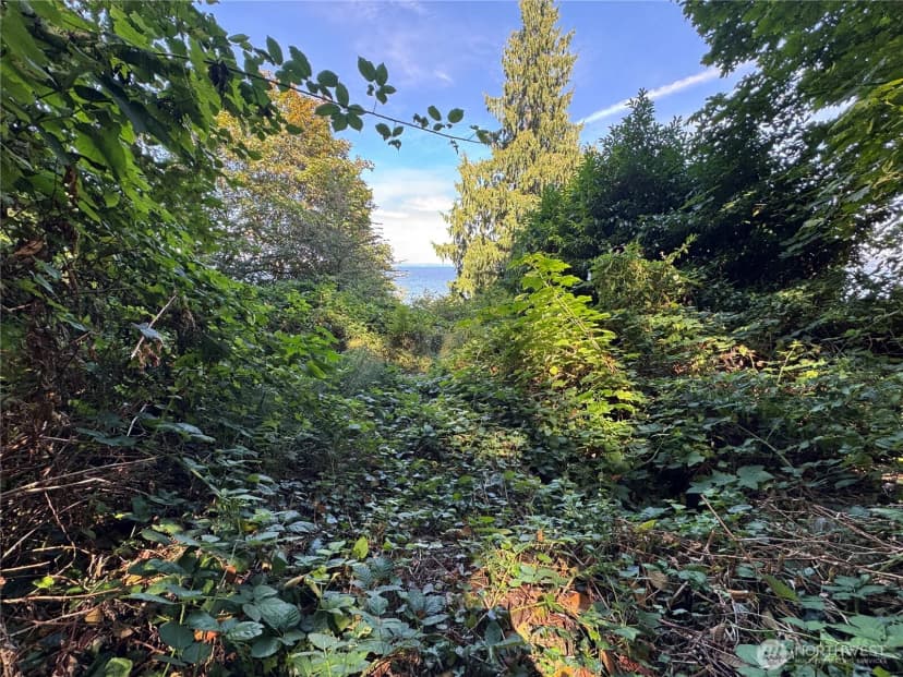 Property photo for 11002 Vashon Highway Sw, Vashon photo 4