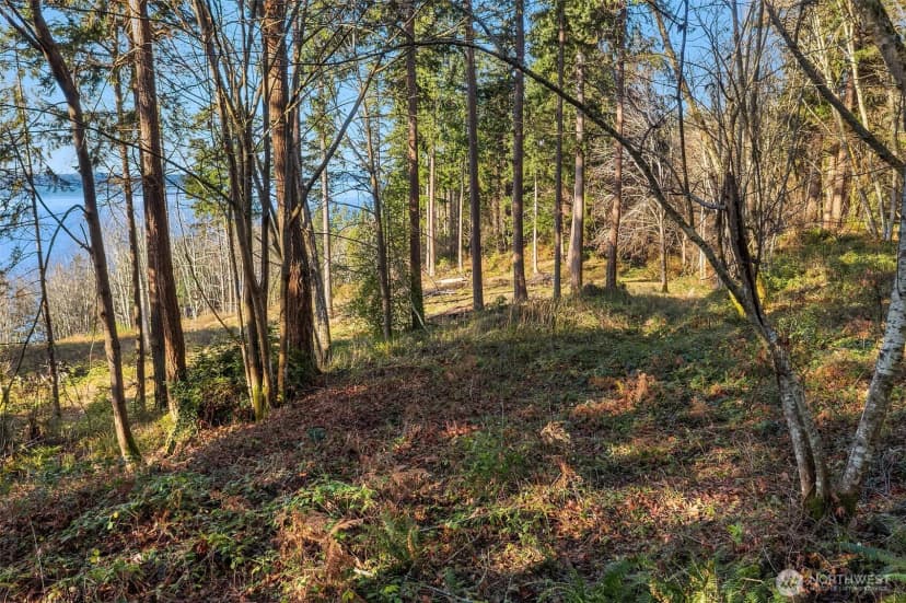 Property photo for 629 3rd Avenue, Fox Island photo 17