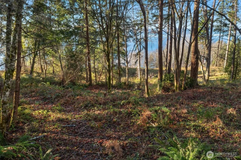 Property photo for 629 3rd Avenue, Fox Island photo 16