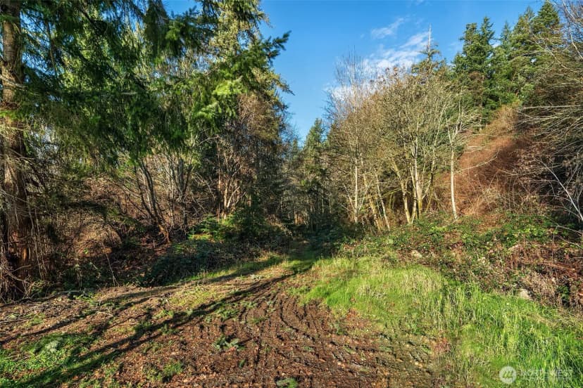 Property photo for 629 3rd Avenue, Fox Island photo 22