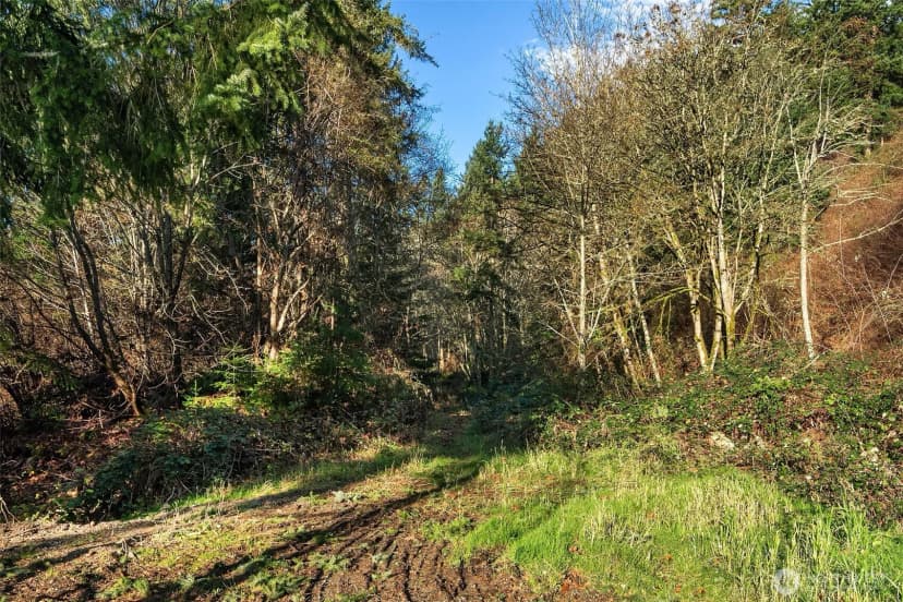 Property photo for 629 3rd Avenue, Fox Island photo 23