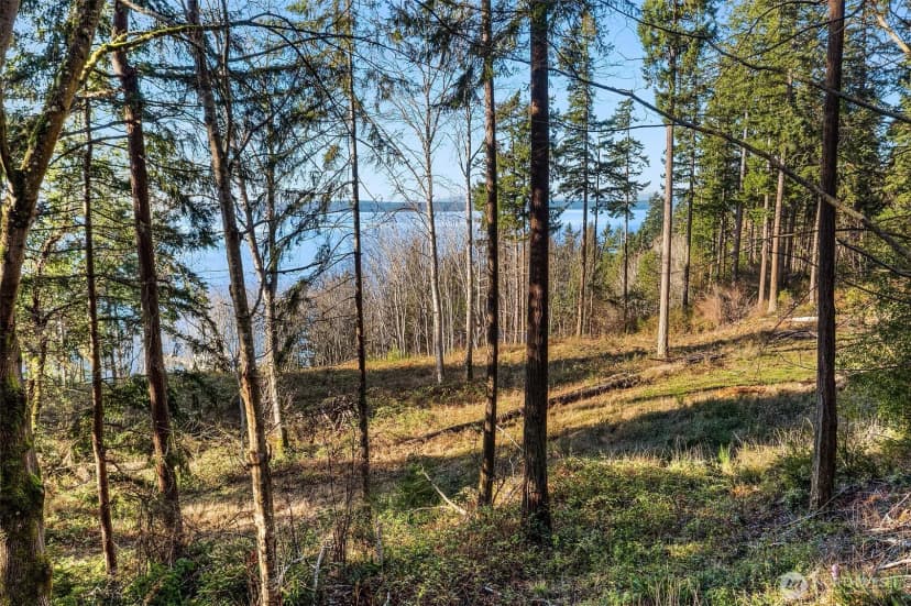 Property photo for 629 3rd Avenue, Fox Island photo 15