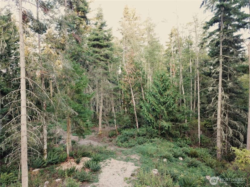 Property photo for 9999 Took-a-look Ln Lot 2, Sequim photo 7