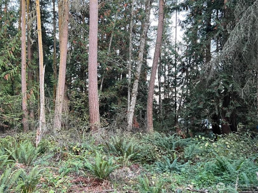 Property photo for 9999 Took-a-look Ln Lot 2, Sequim photo 12