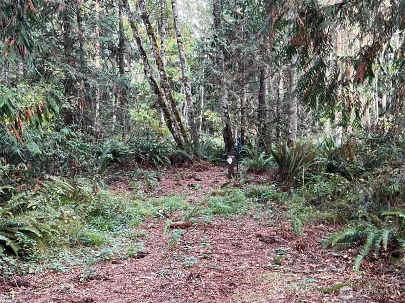 Property photo for 9999 Took-a-look Ln Lot 2, Sequim photo 13