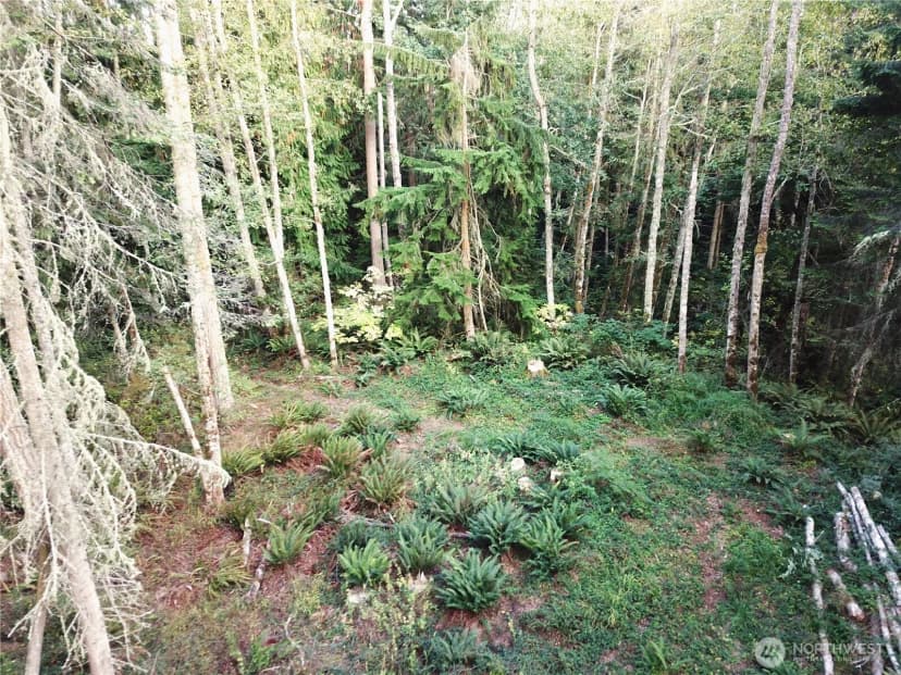 Property photo for 9999 Took-a-look Ln Lot 2, Sequim photo 10