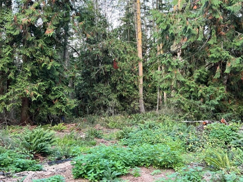 Property photo for 9999 Took-a-look Ln Lot 2, Sequim photo 11