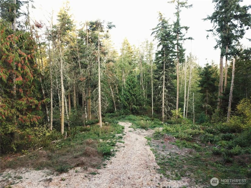 Property photo for 9999 Took-a-look Ln Lot 2, Sequim photo 6