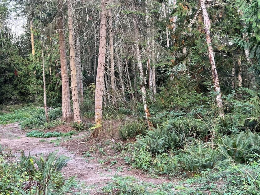Property photo for 9999 Took-a-look Ln Lot 2, Sequim photo 8