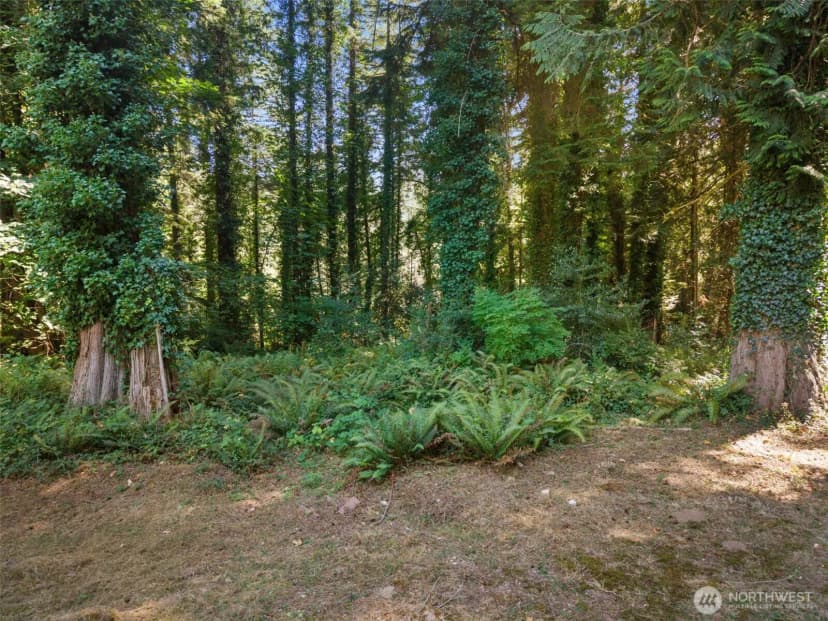 Property photo for 8306 94th Street Nw #a & B, Gig Harbor photo 31