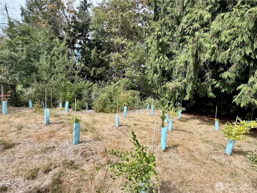 Property photo for 3804 Q Avenue, Anacortes photo 32