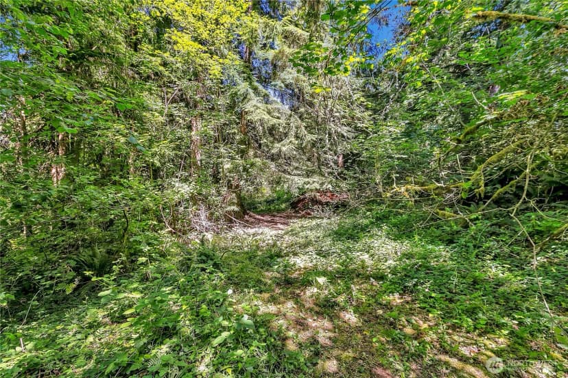 Property photo for 28215 Se 216th Street, Maple Valley photo 9