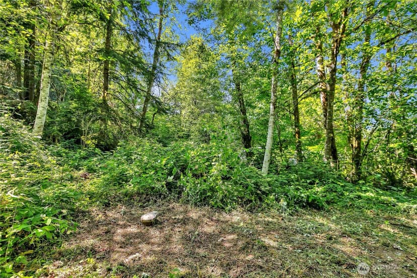 Property photo for 28215 Se 216th Street, Maple Valley photo 7