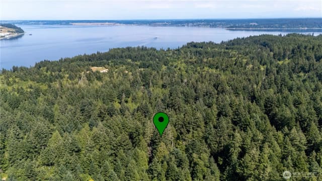 Property photo for 8819 Eckenstam Johnson Road, Anderson Island photo 5