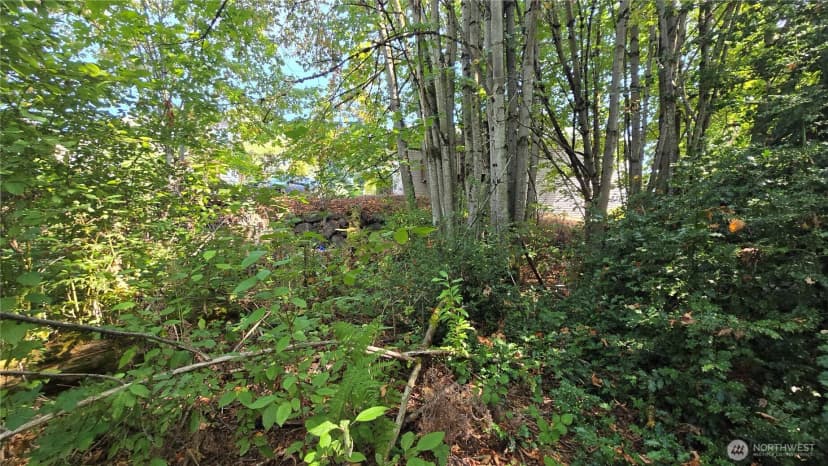 Property photo for 116 116th Avenue, Renton photo 16