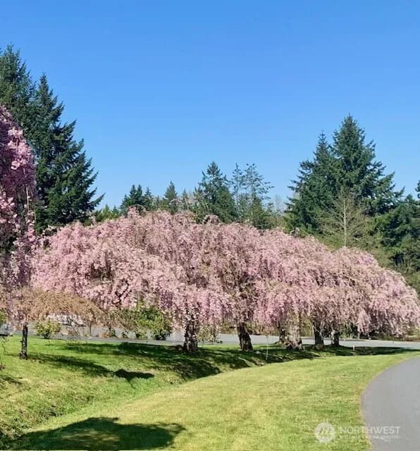 Property photo for 17465 Ne 163rd Place, Woodinville photo 31