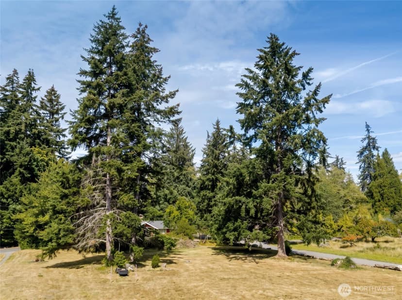 Property photo for 9903 Sw 116th Street, Vashon photo 10