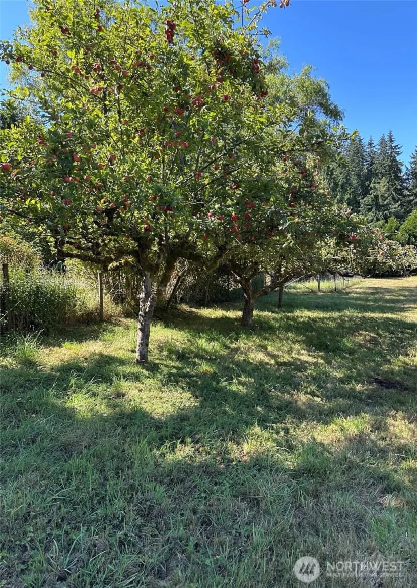 Property photo for 9903 Sw 116th Street, Vashon photo 9