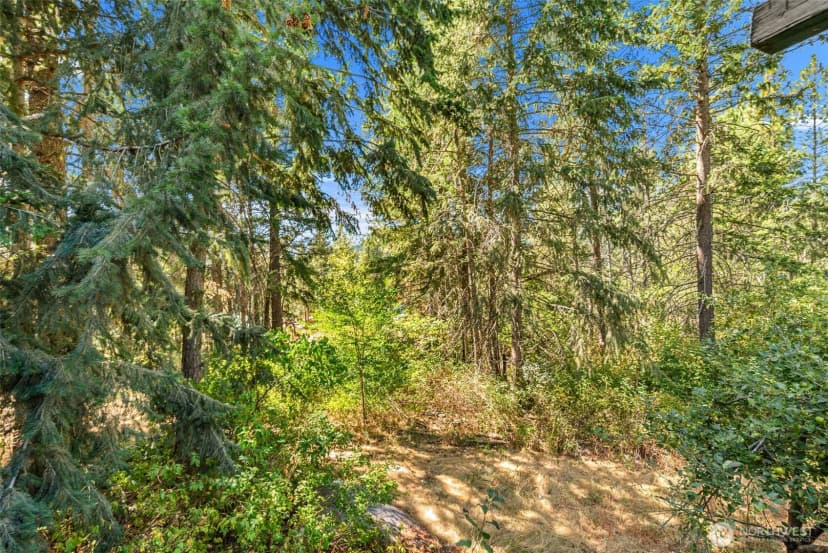 Property photo for 24608 Spur Street, Leavenworth photo 20