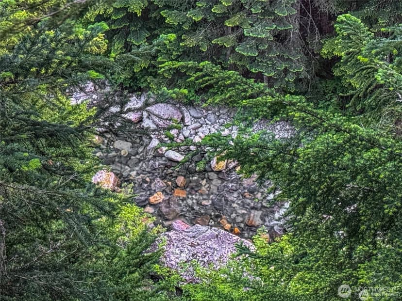 Property photo for 17800 Alpental Access Road Se #3102, North Bend photo 8
