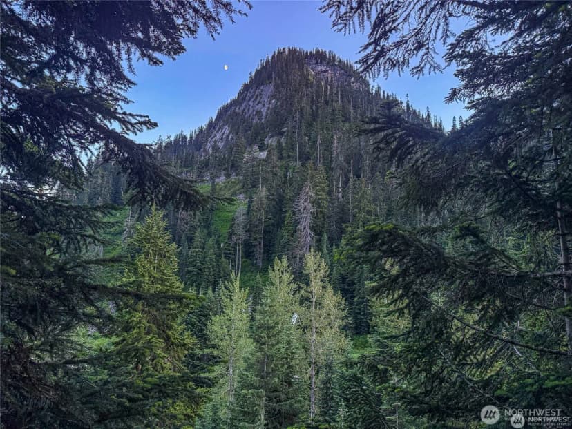 Property photo for 17800 Alpental Access Road Se #3102, North Bend photo 7
