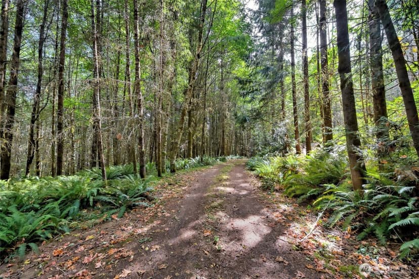 Property photo for 1010 Se Binns Swiger Loop Road, Shelton photo 36