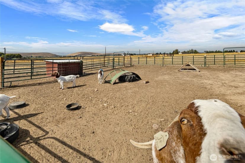 Property photo for 17270 Vantage Highway, Ellensburg photo 26