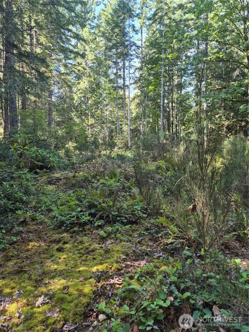 Property photo for 2755 Lost Creek Lane Nw, Bremerton photo 3