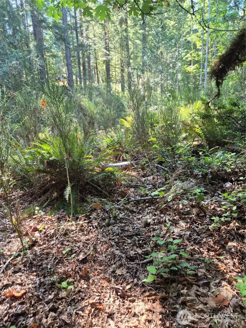 Property photo for 2755 Lost Creek Lane Nw, Bremerton