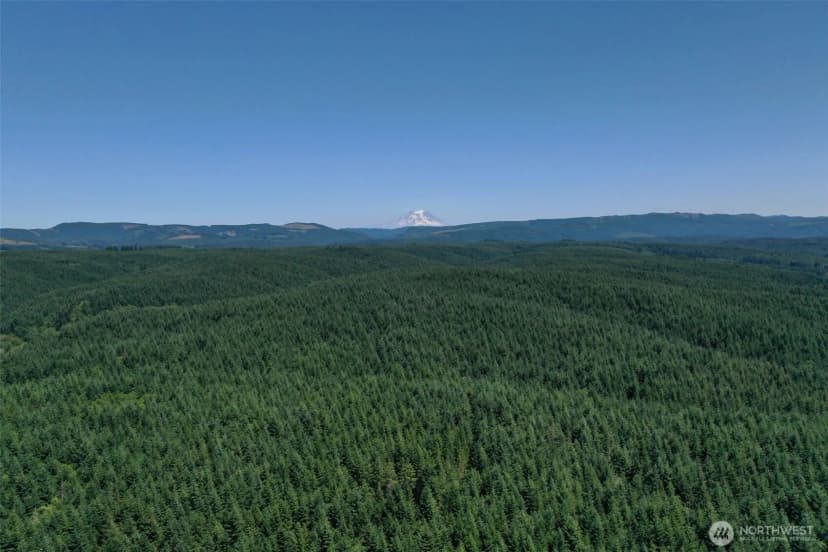 Property photo for 21500 Tono Road, Centralia photo 36