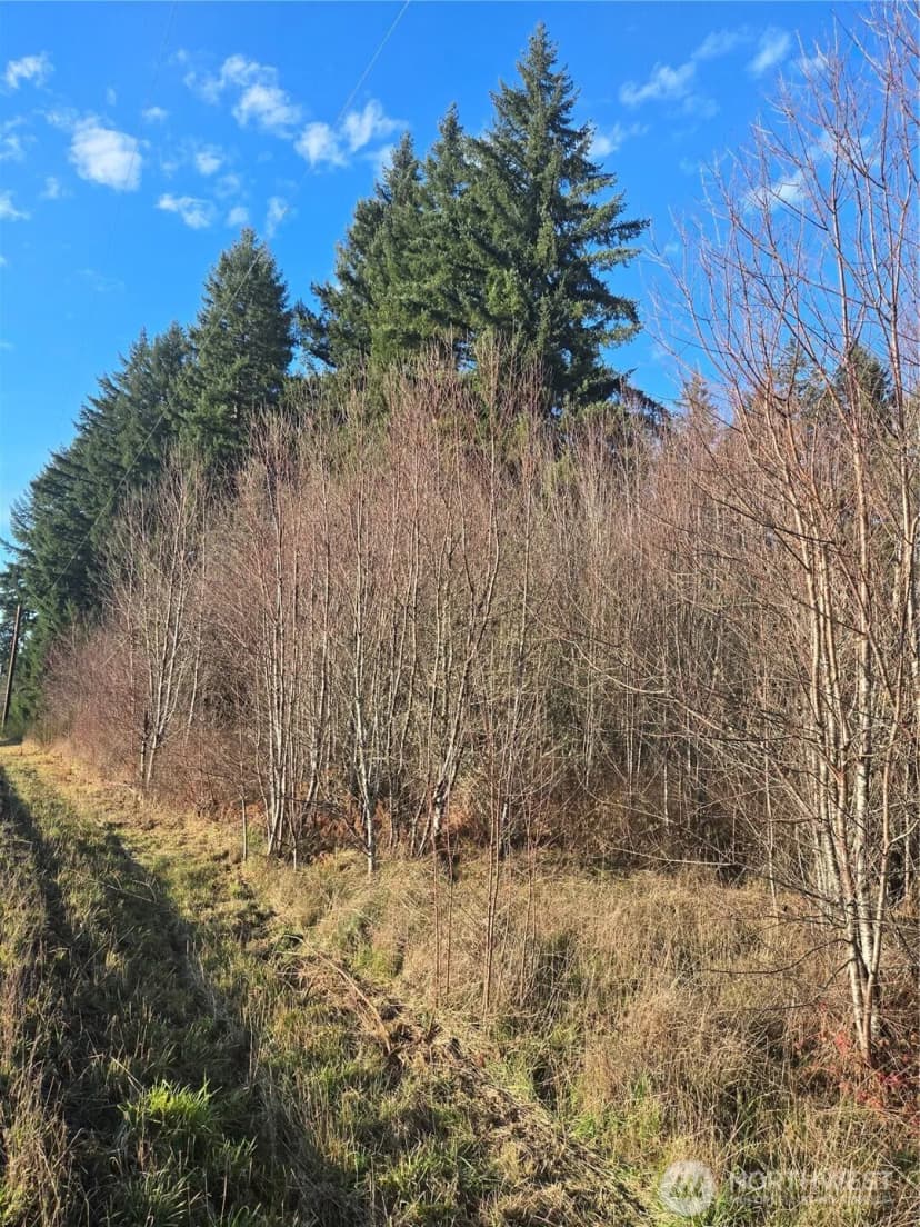 Property photo for 0 Clinton Road, Chehalis photo 5