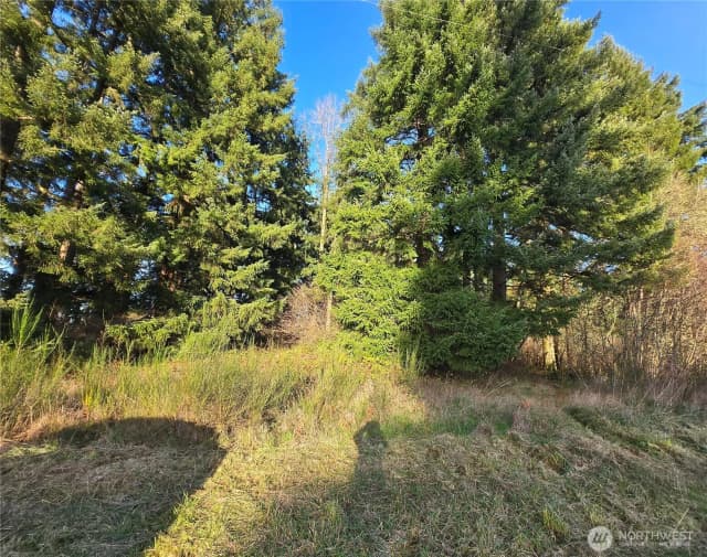 Property photo for 0 Clinton Road, Chehalis