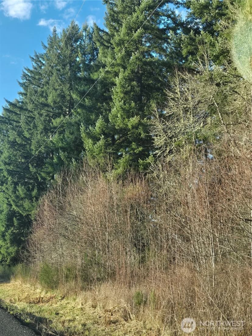 Property photo for 0 Clinton Road, Chehalis photo 6
