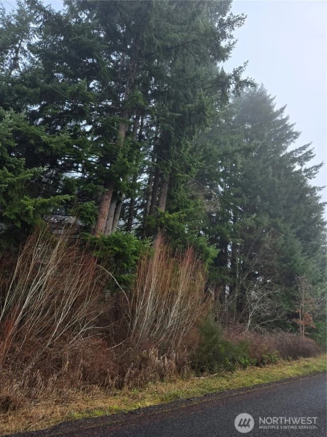 Property photo for 0 Clinton Road, Chehalis photo 3