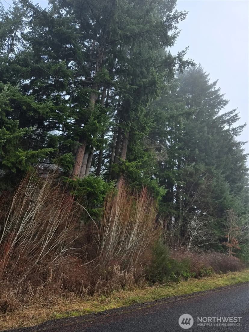 Property photo for 0 Clinton Road, Chehalis photo 3