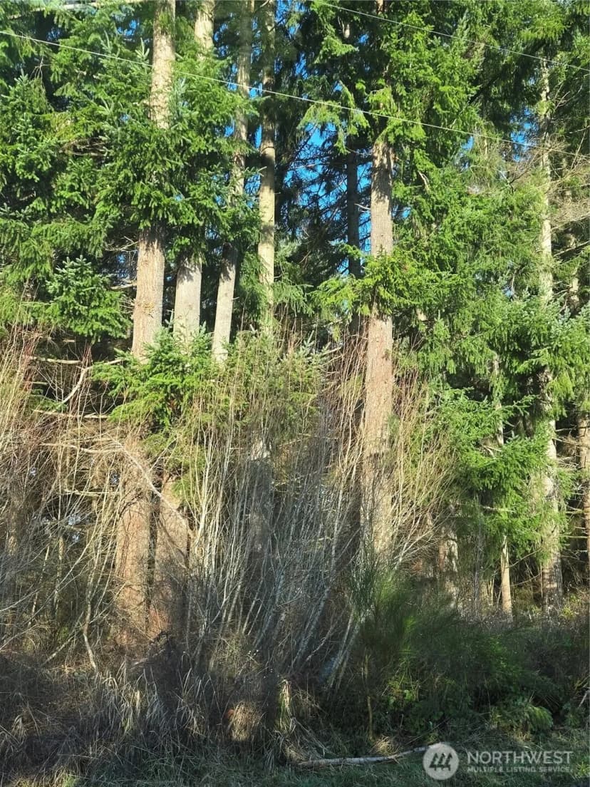 Property photo for 0 Clinton Road, Chehalis photo 11