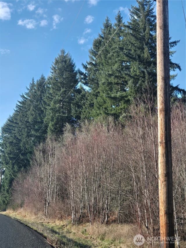Property photo for 0 Clinton Road, Chehalis photo 4