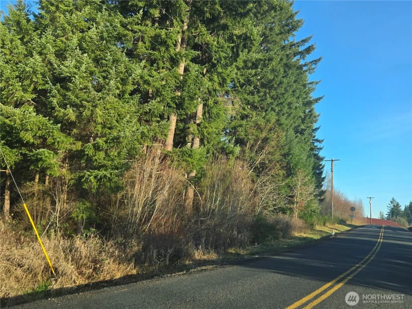 Property photo for 0 Clinton Road, Chehalis photo 10