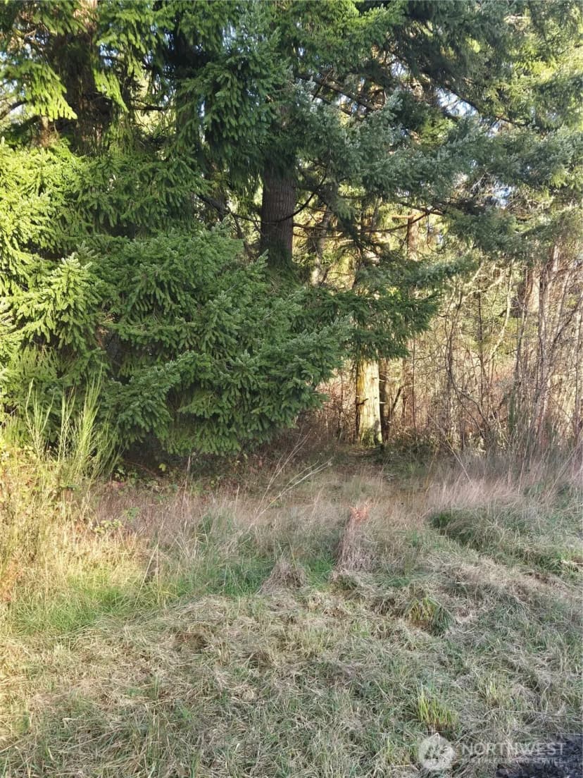 Property photo for 0 Clinton Road, Chehalis photo 7