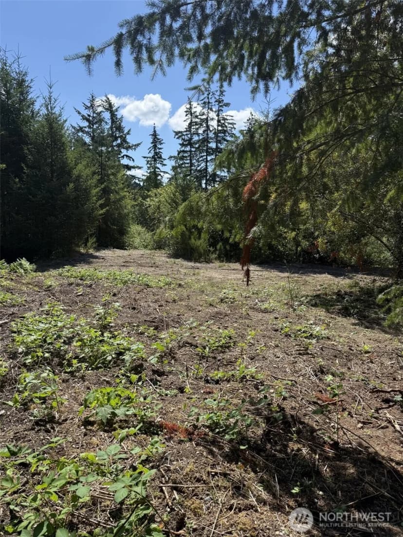 Property photo for 18703 Sr 302, Gig Harbor photo 3