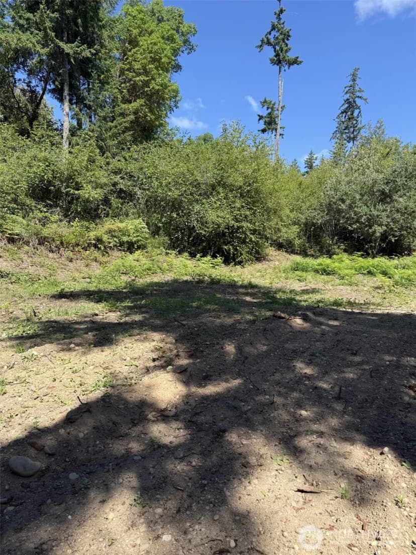 Property photo for 18703 Sr 302, Gig Harbor photo 14