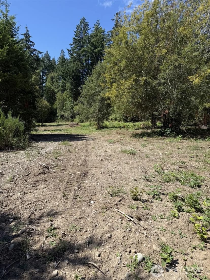 Property photo for 18703 Sr 302, Gig Harbor photo 11