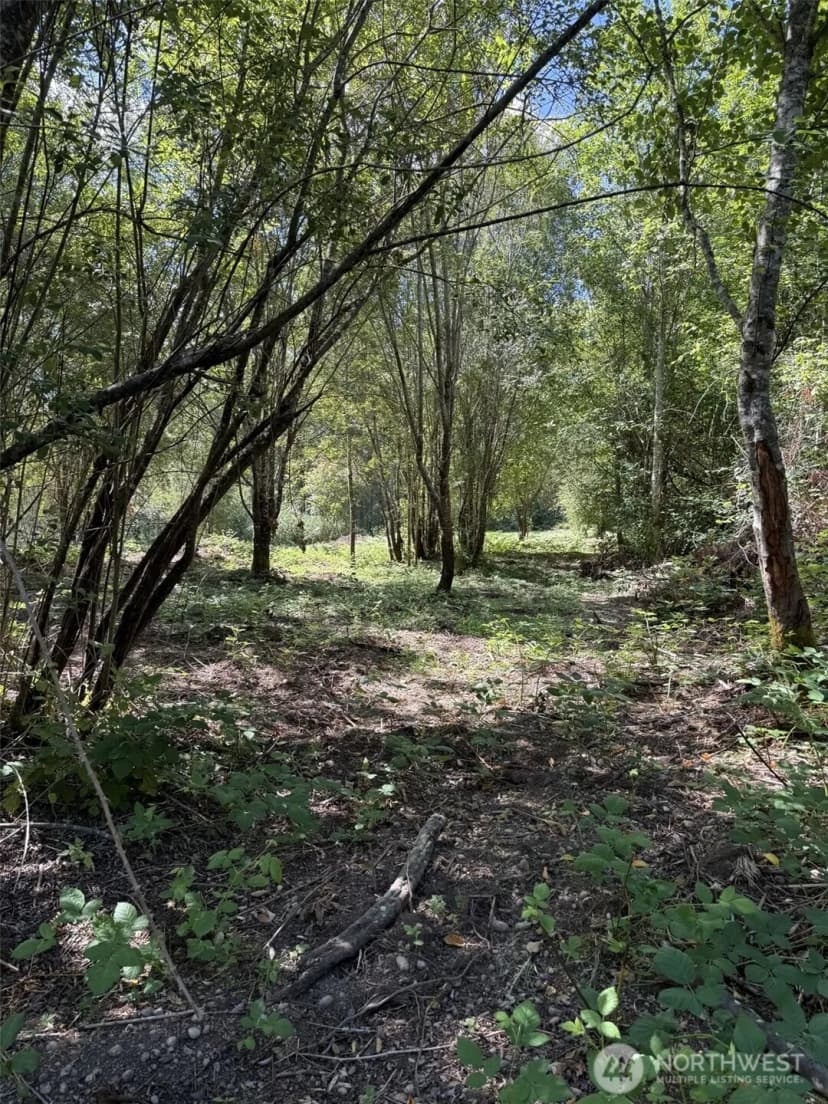 Property photo for 18703 Sr 302, Gig Harbor photo 6